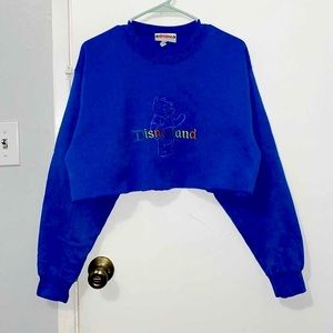 RARE Disneyland Rainbow Blue Cropped Crewneck